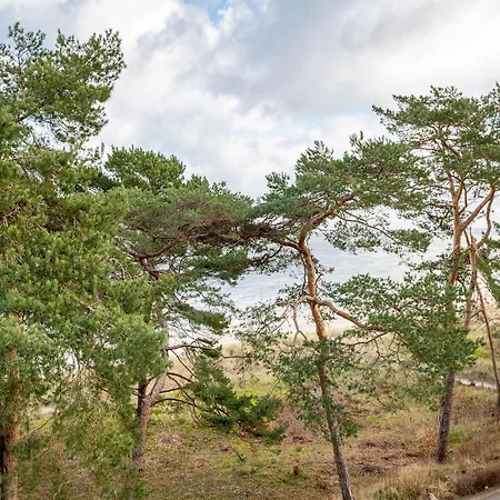 Strandperle, App 32 Apartment Ostseebad Heringsdorf