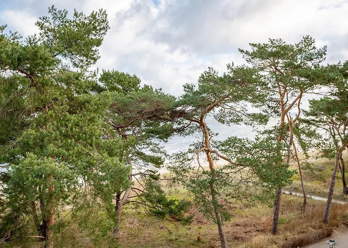 Strandperle, App 32 아파트 제바트헤링스도르프